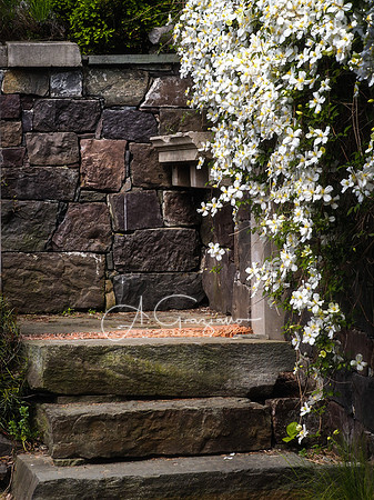 Landcraft Garden Foundation 2021
