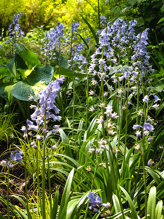 Landcraft Garden Foundation 2021