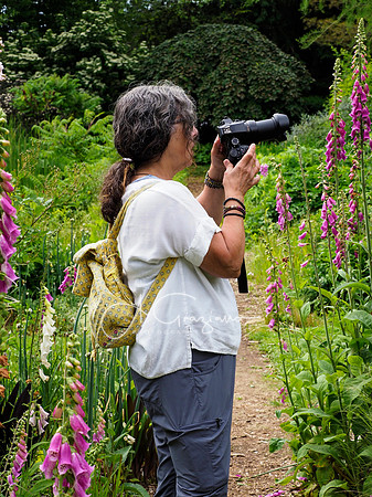 Landcraft Gardens Workshop 2024