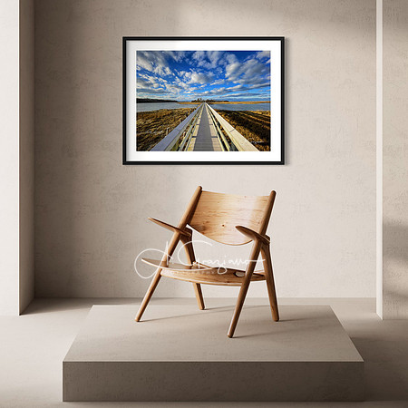 A. Graziano Photography