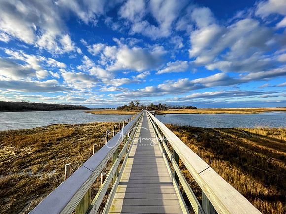 Wetland Wandering