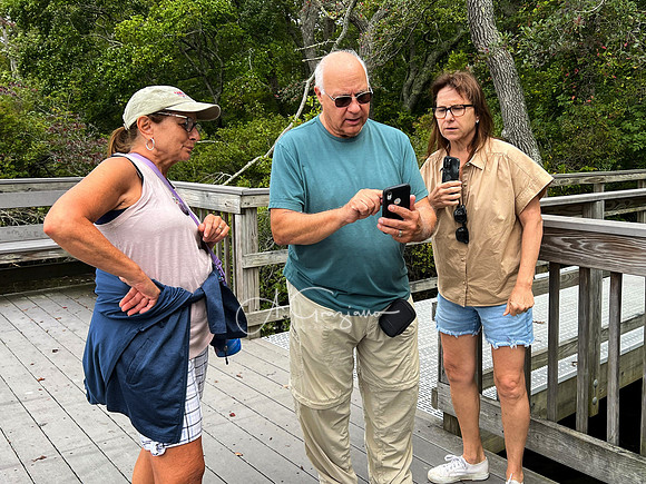 iPhone Photography Workshop - Wertheim 2023