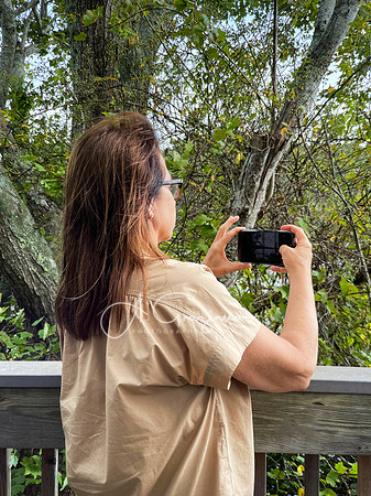iPhone Photography Workshop - Wertheim 2023