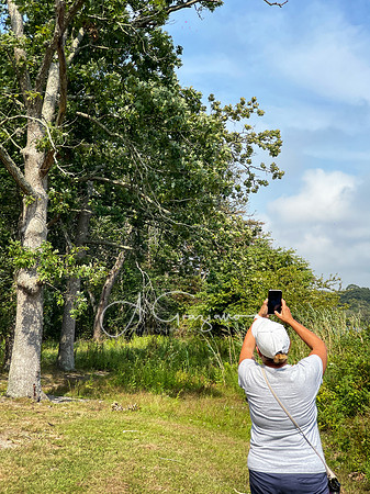 iPhone Photography Workshop - Wertheim 2023