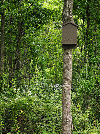 National Trail Day at Upland Farm 2025