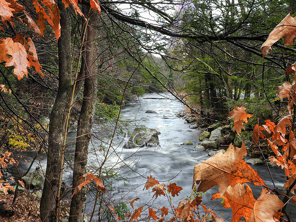 Farmington River from Toland State Forest, MA - Berkshires