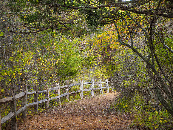 Stroll Beside Quantuck Creek - Quogue Wildlife Refuge