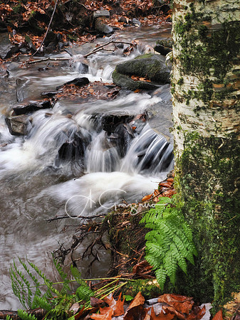 Catskills West