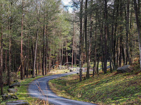Catskills West