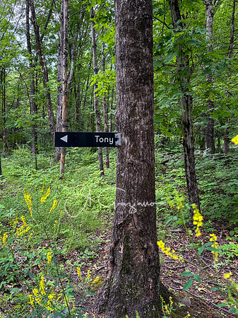 Getaway - Catskills East 2024