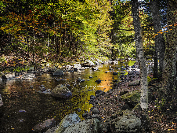 Farmington River from Tolland State Forest - Berkshires