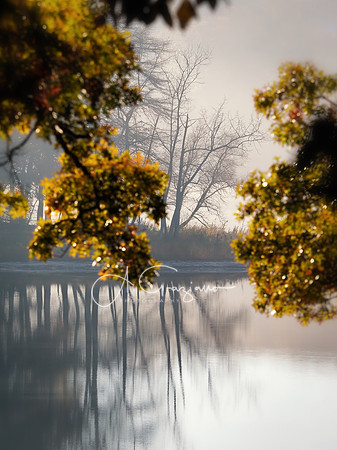 Porch View - Lake Panamoka