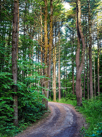 Getaway - Catskills East 2024