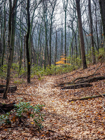 Butler-Huntington Woods