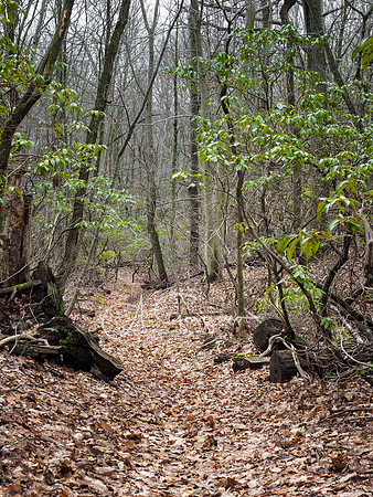 Butler-Huntington Woods