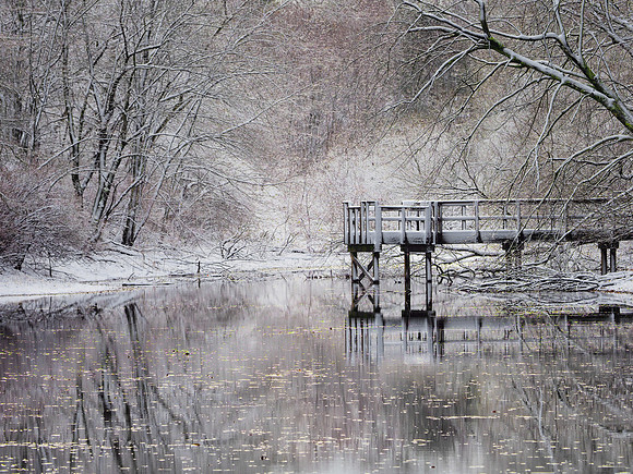 First Snow