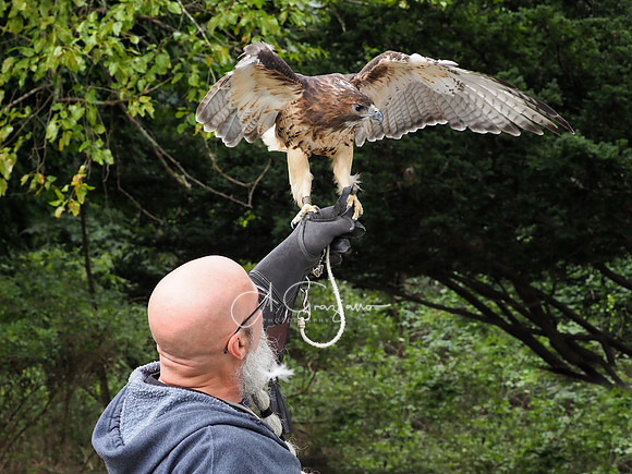 Sweetbriar Nature Center 2023