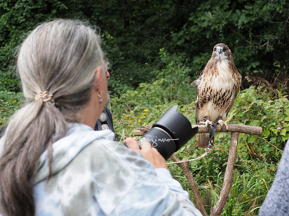 Sweetbriar Nature Center 2023