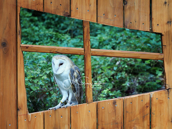 Sweetbriar Nature Center 2023
