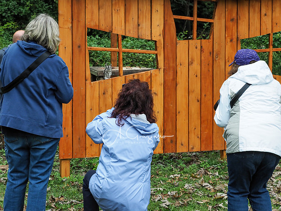 Sweetbriar Nature Center 2023