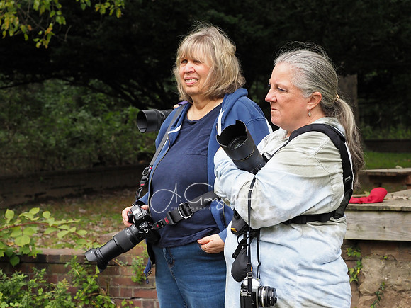 Sweetbriar Nature Center 2023