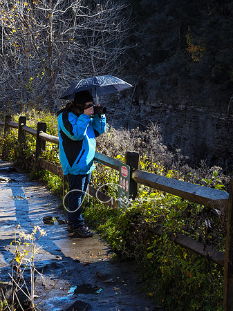 Letchworth Workshop