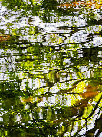 Kaler's Pond Park, Center Moriches