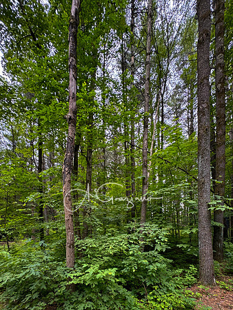 Getaway - Catskills East 2024