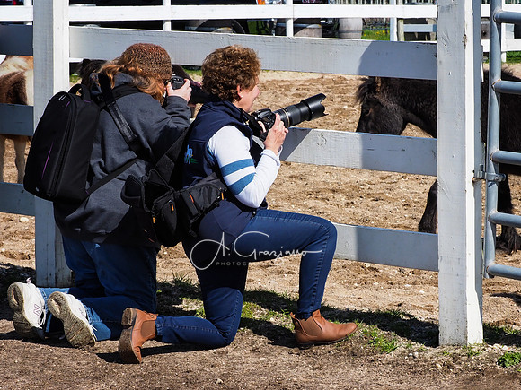 BH Rescue Charity Photo Shoot 2018