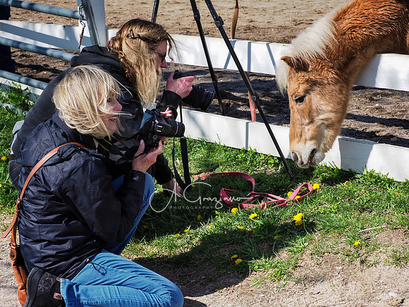 BH Rescue Charity Photo Shoot 2018