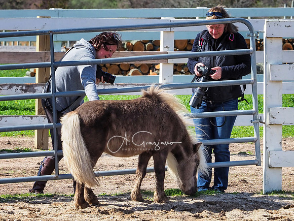 BH Rescue Charity Photo Shoot 2018