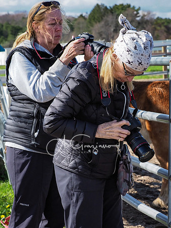 BH Rescue Charity Photo Shoot 2018