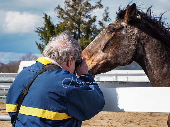 BH Rescue Charity Photo Shoot 2018