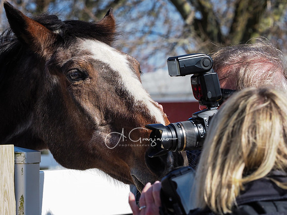BH Rescue Charity Photo Shoot 2018