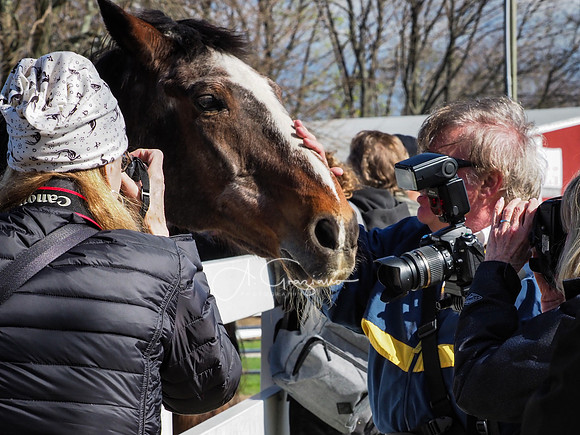 BH Rescue Charity Photo Shoot 2018