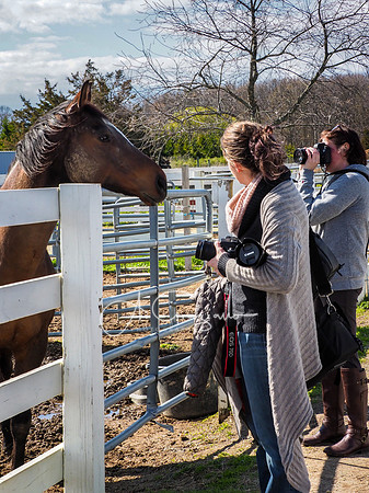 BH Rescue Charity Photo Shoot 2018