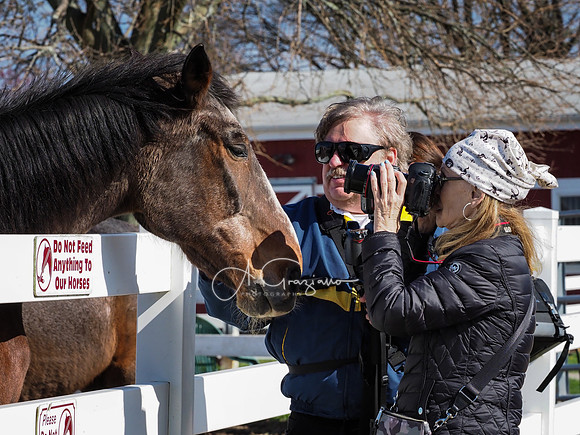 BH Rescue Charity Photo Shoot 2018
