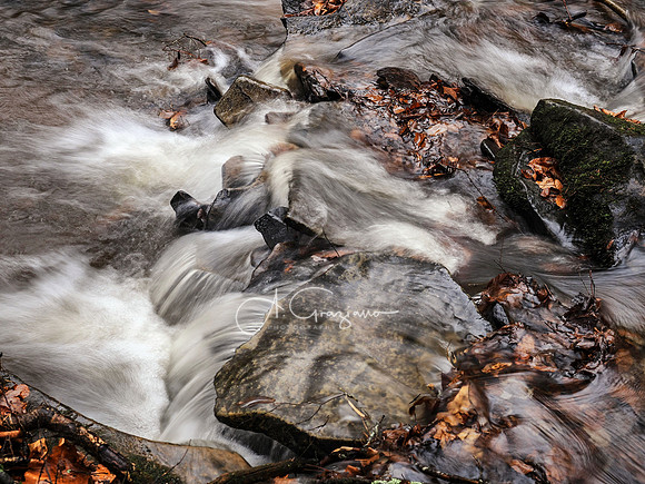 Catskills West