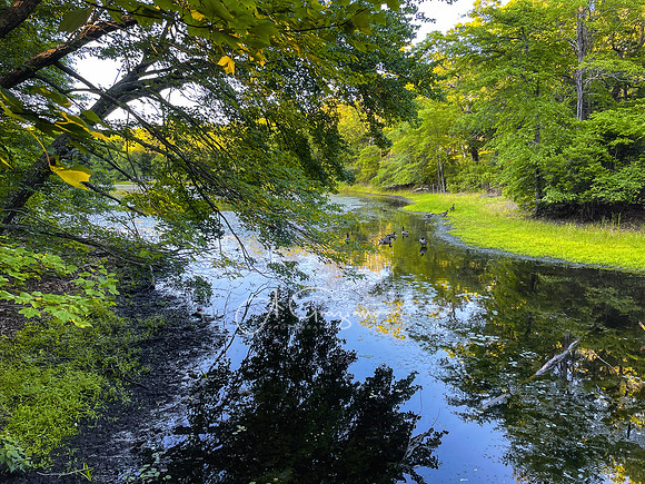 Sunday Morning at Randal Pond - Ridge Conservation Center