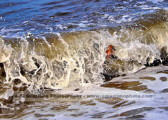 In The Moment - Anthony Graziano