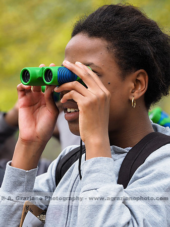 Bird Watcher - Anthony Graziano