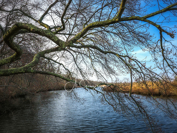 Wertheim NWR