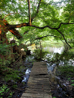 Short Pier - Carmans River at Lower Lake, Yaphank