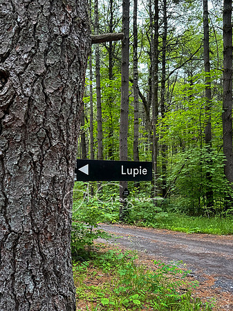 Getaway - Catskills East 2024