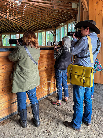 Spirit's Promise Horse Rescue 2023