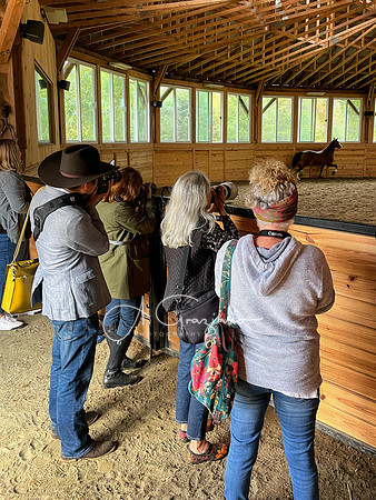 Spirit's Promise Horse Rescue 2023