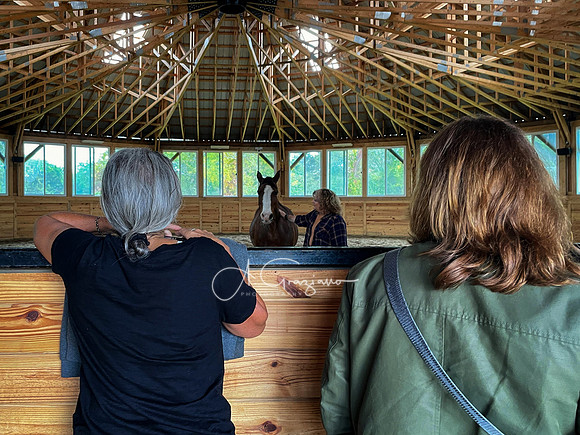 Spirit's Promise Horse Rescue 2023