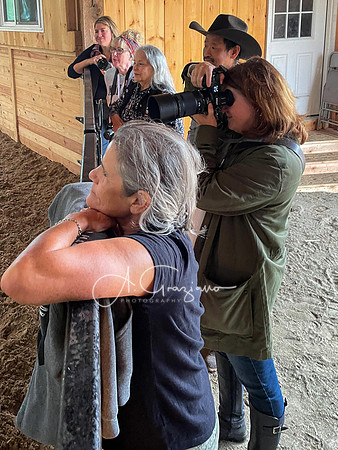 Spirit's Promise Horse Rescue 2023