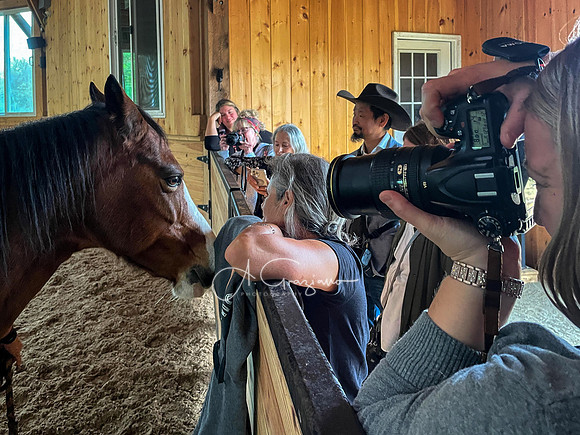 Spirit's Promise Horse Rescue 2023