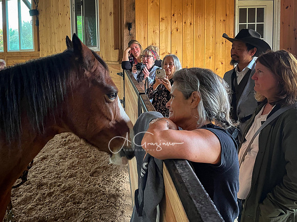 Spirit's Promise Horse Rescue 2023